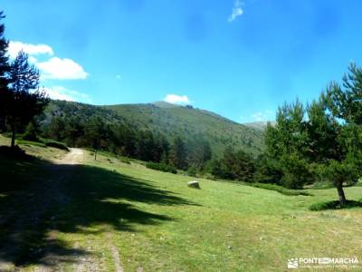 Tejos Rascafría-Valhondillo o Barondillo;viajes a sierra nevada hacer amigos madrid sierra noroeste